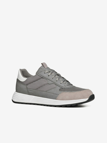 Geox Graue Herren Sneakers Geox Molveno