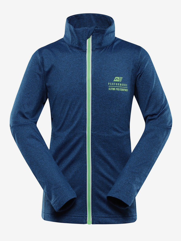 ALPINE PRO Gollo Kids' Hoodie