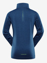 ALPINE PRO Gollo Kids' Hoodie
