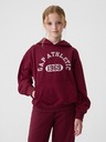 GAP Kinder Hoodie Gap Athletic Unisex GAP