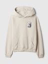 GAP Vintage Soft Sweatshirt GAP
