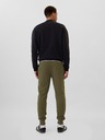 GAP Sweatpants jogger GAP