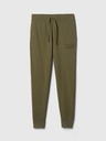 GAP Sweatpants jogger GAP