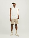 Jack & Jones Jack & Jones Gordon Beige Herren-Sweatpants