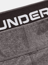 Under Armour Damen-Leggings Under Armour UA CG Authentics Legging