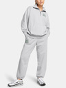 Under Armour Damen Under Armour UA Icon HWT Terry OS HZ Sweatshirt