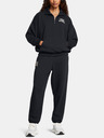 Under Armour Damen Under Armour UA Icon HWT Terry OS HZ Sweatshirt