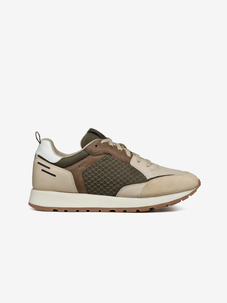 Geox Grüne und cremefarbene Herren Geox Partenio Turnschuhe