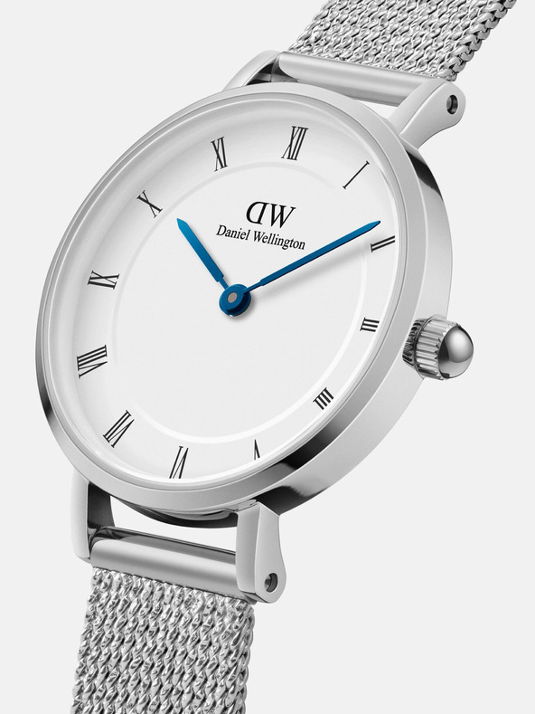 Daniel Wellington Daniel Wellington Mesh Petite Sterling Silber Damenuhr