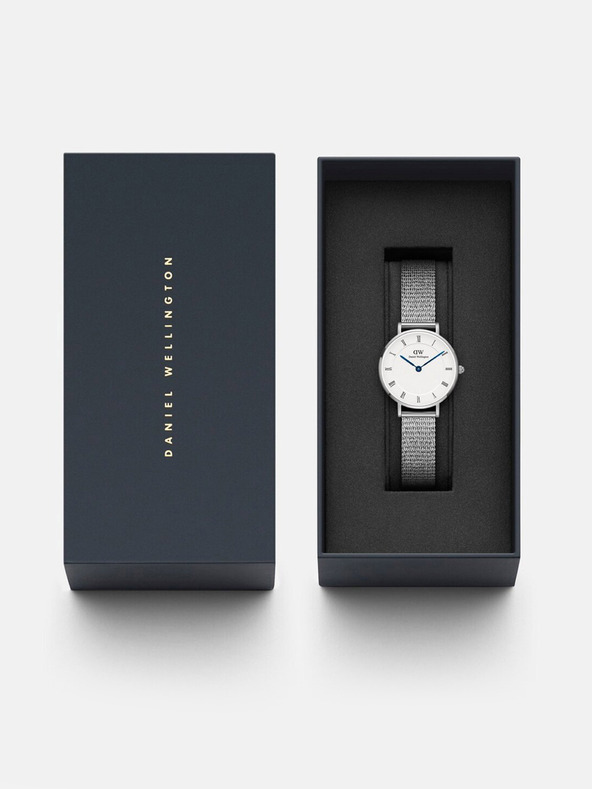 Daniel Wellington Daniel Wellington Mesh Petite Sterling Silber Damenuhr