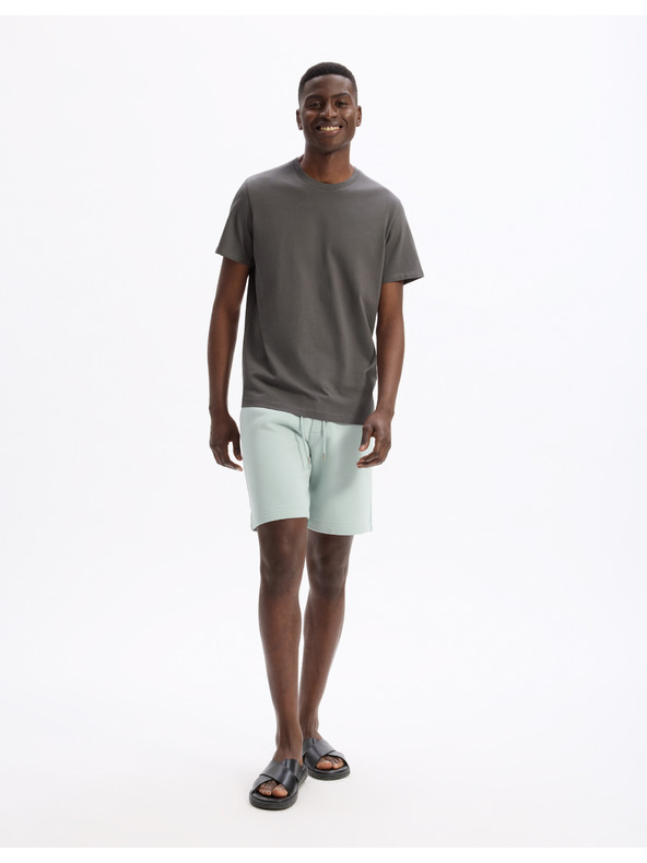 Celio Shorts Loshort2