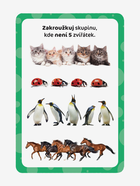 ELLA & MAX Zaubertafel & Rubbelkarten - Erstes Zählen