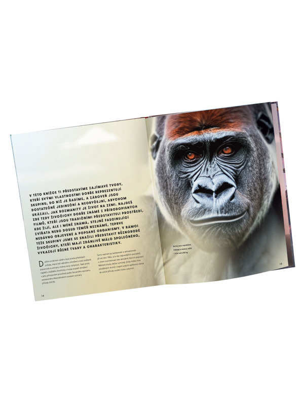 ELLA & MAX Großer Bildführer zu TIEREN