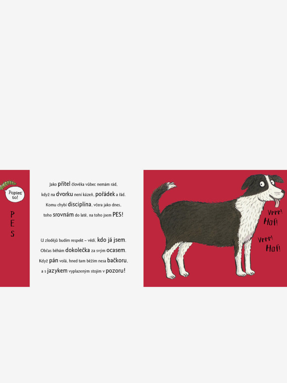 ELLA & MAX Schelmisches Play-Doh mit Tieren