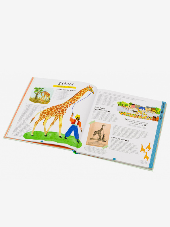 ELLA & MAX Tierwelten - Geschichten, die wirklich passiert sind