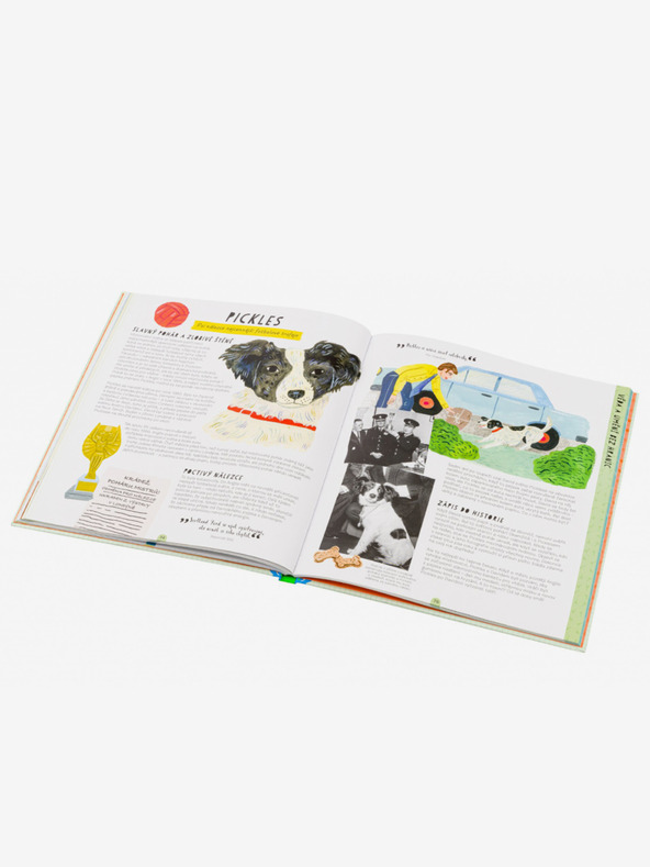 ELLA & MAX Tierwelten - Geschichten, die wirklich passiert sind