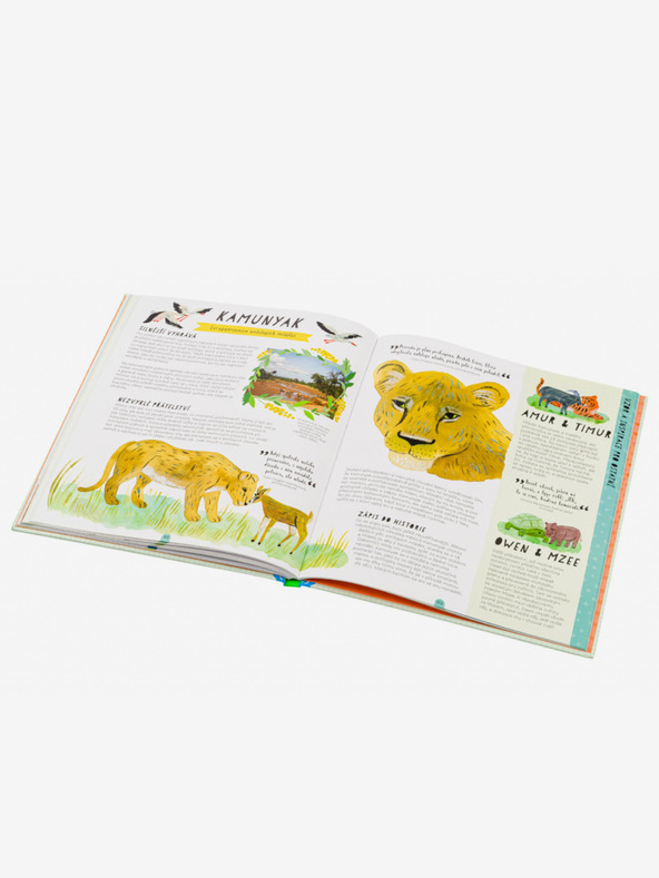 ELLA & MAX Tierwelten - Geschichten, die wirklich passiert sind