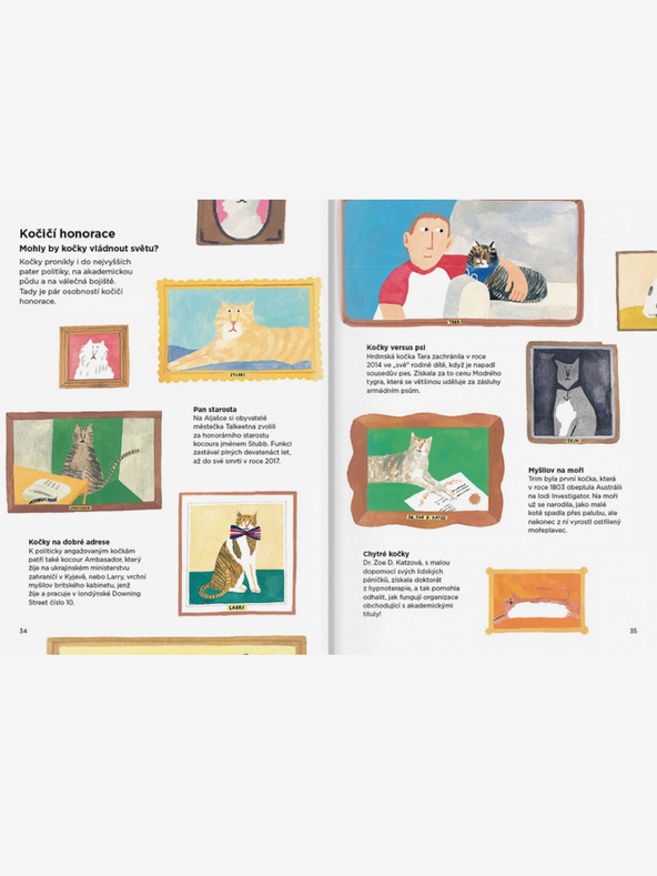 ELLA & MAX WARUM KLETTERN KATZEN AUF VORHÄNGE? - Alles über Katzen