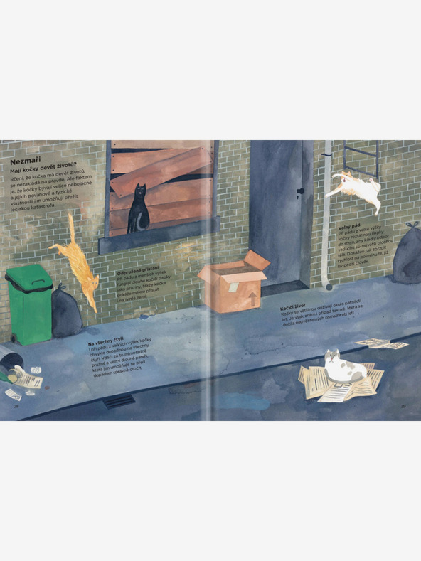 ELLA & MAX WARUM KLETTERN KATZEN AUF VORHÄNGE? - Alles über Katzen