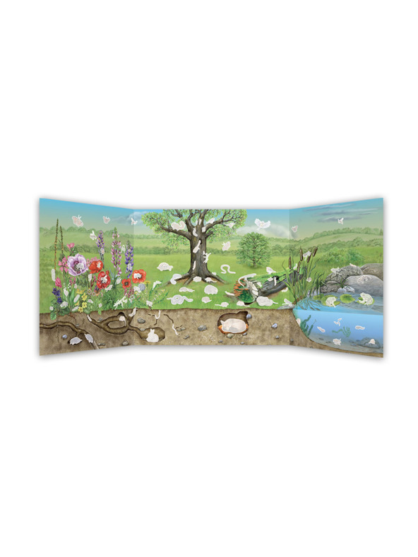 ELLA & MAX DIE WELT DER VÖGEL, MUSCHELN und anderer Tiere unserer Gärten - Buch mit Poster und Aufklebern