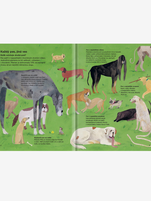 ELLA & MAX WARUM BESCHNÜFFELN SICH HUNDE GEGENSEITIG? - Alles über Hunde