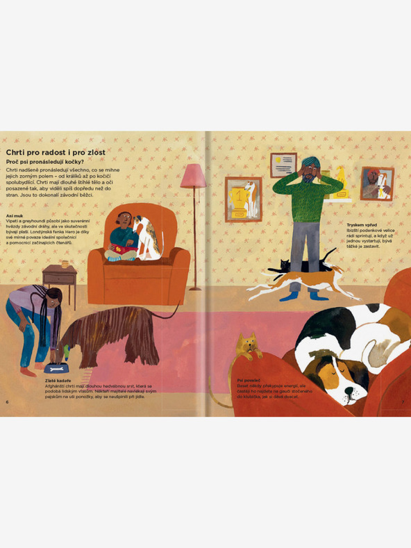 ELLA & MAX WARUM BESCHNÜFFELN SICH HUNDE GEGENSEITIG? - Alles über Hunde