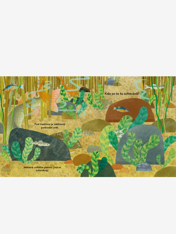 ELLA & MAX Wer versteckt sich hier? Am Fluss - Ein Buch mit Fenstern zum Öffnen