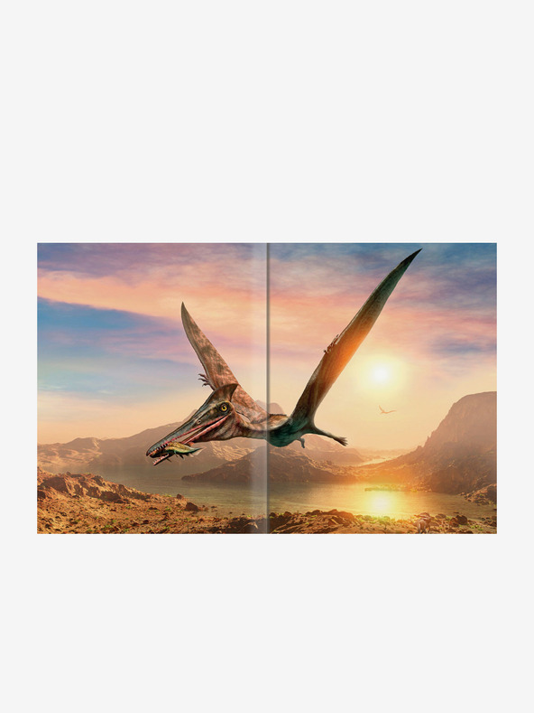 ELLA & MAX Großer Bilderführer durch die WELT DER DINOSAUREN