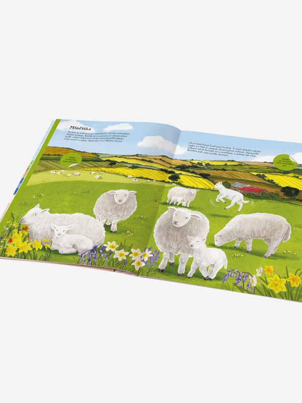 ELLA & MAX PFERDE, SCHLÄFER und andere Bauernhoftiere - Stickerbuch