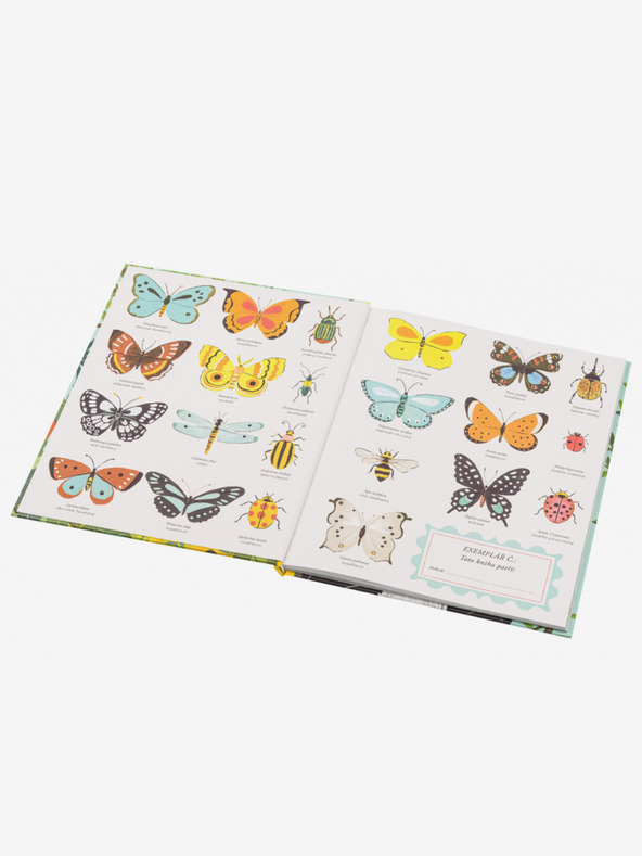 ELLA & MAX ON THE ORIGIN OF SPECIES - Darwins Theorie für Kinder