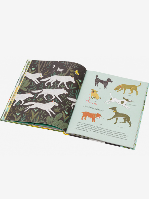 ELLA & MAX ON THE ORIGIN OF SPECIES - Darwins Theorie für Kinder