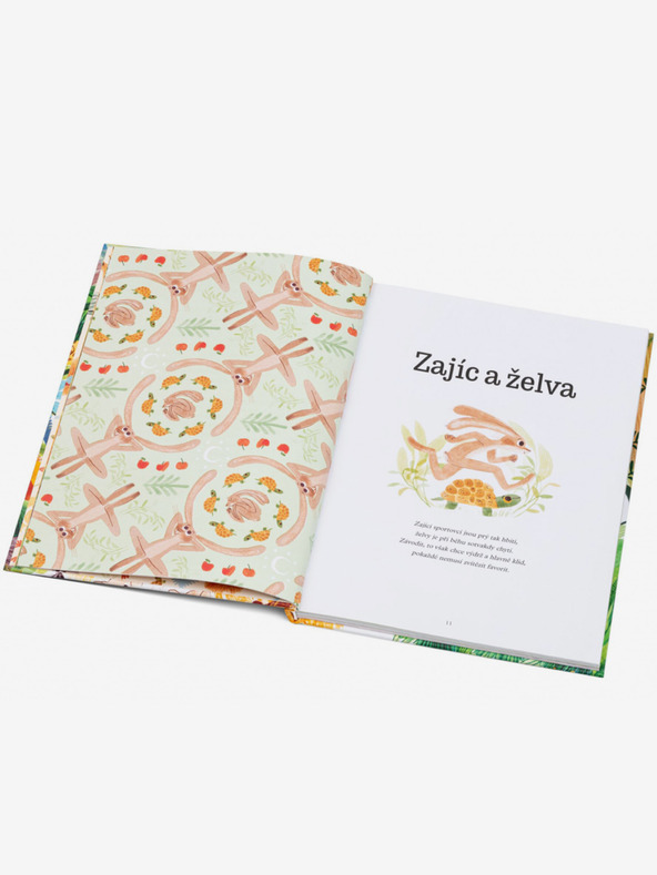 ELLA & MAX EZOP ÜBER TIERE - Fabeln in Versen