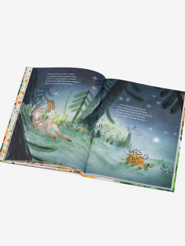 ELLA & MAX EZOP ÜBER TIERE - Fabeln in Versen