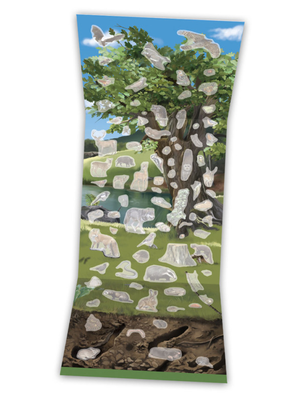 ELLA & MAX DIE WELT DER BÄUME, MUSCHELN und Tiere unserer Wiesen und Wälder - Buch mit Poster und Aufklebern