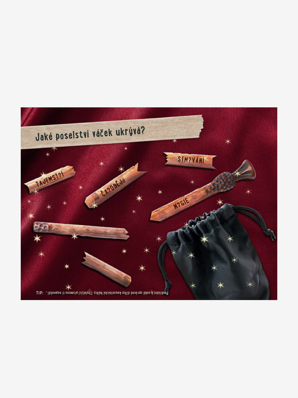 ELLA & MAX FLUCHTBUCH - DAS GEHEIMNIS DER SCHWARZEN VILLA