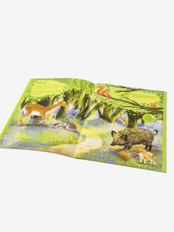 ELLA & MAX Igel, Ohren und andere pelzige Kreaturen - Stickerbuch