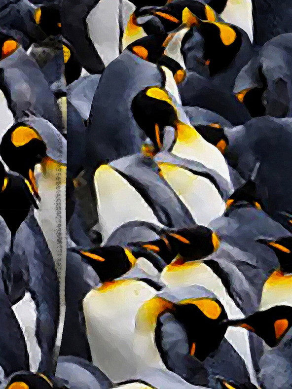 Horsefeathers Sidney Horsefeathers Boxershorts