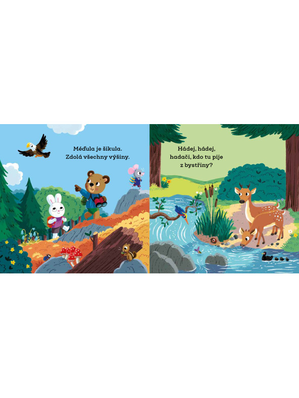 BAAGL  TEDDY CLEVER WIRD ZELTKIND – Bilder mit beweglichen Elementen