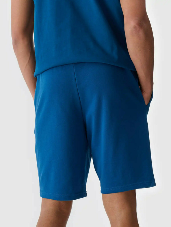 4F Herren 4F Shorts