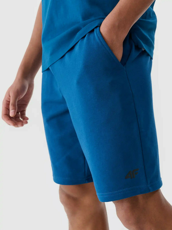 4F Herren 4F Shorts