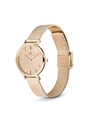 Daniel Wellington Damen Uhr Daniel Wellington Petite 28 DW00100795