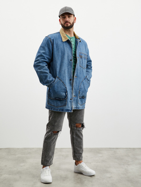 ZOOT.lab Grünes gestromtes Herren-Button-Down-Hemd ZOOT.lab Diego