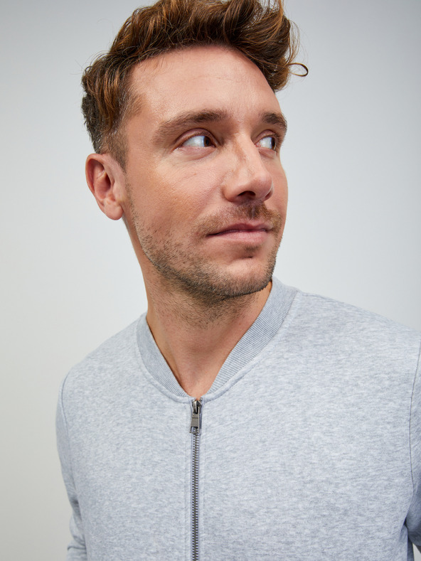 ZOOT.lab Hellgraues Herren-Sweatshirt mit Reißverschluss, gestromt ZOOT.lab Keanu