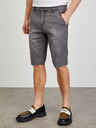 ZOOT.lab Graue Herren-Shorts ZOOT.lab Dax