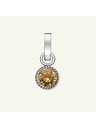Rosefield Rosefield Anhänger Silberfarben Birthstone November Farbe