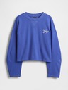 GAP Damen-Oversize-VintageSoft-Sweatshirt Americana GAP